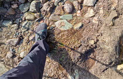 My Journey with Saguaro on the West Highland Way #0015