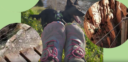 From Doubt to Trust: SAGUARO Made Me Rediscover My Feet #0013