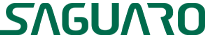 Saguaro BI