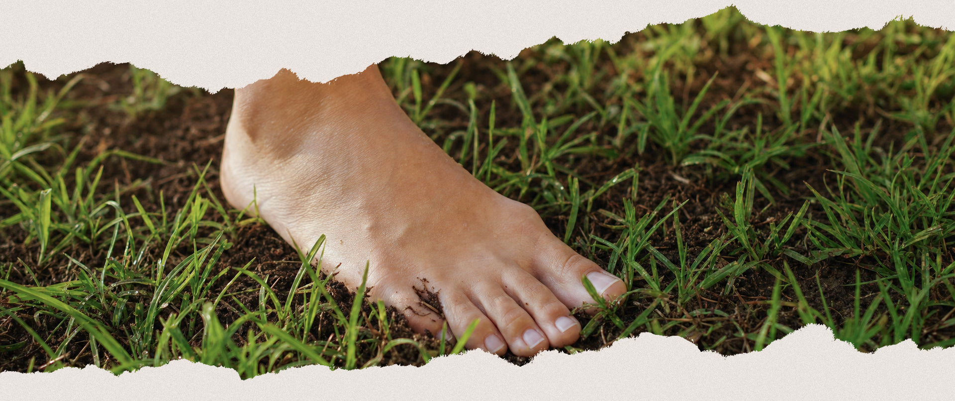 Bare feet on grass reconnecting the body with natural movement and ground feel