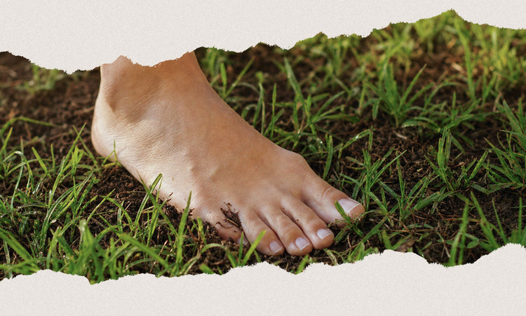 Bare feet on grass reconnecting the body with natural movement and ground feel