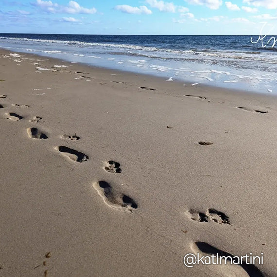 Saguaro Barefoot Shoes